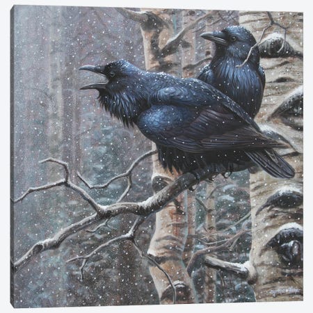 Ravens Canvas Print #CYT161} by Cynthie Fisher Canvas Art Print