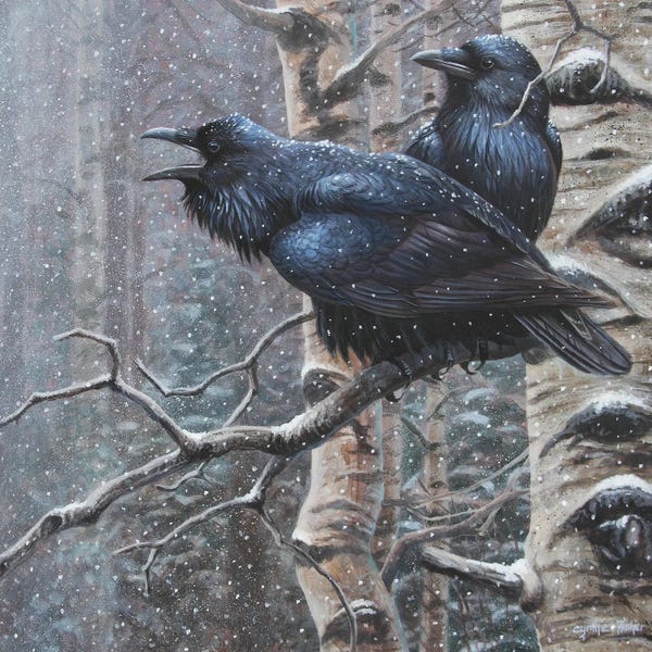 Ravens: Ravens by Cynthie Fisher
