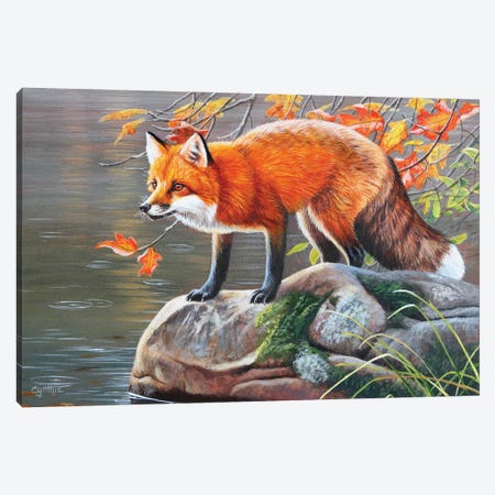 Red Fox Canvas Print #CYT162} by Cynthie Fisher Canvas Art Print