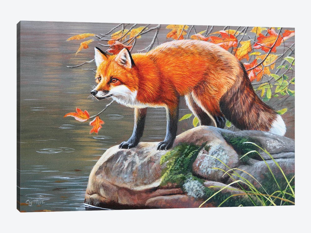 Red Fox by Cynthie Fisher 1-piece Canvas Art