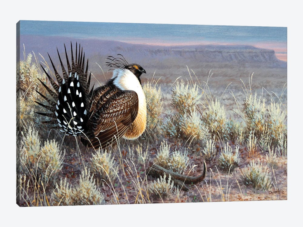 Sage Grouse by Cynthie Fisher 1-piece Canvas Art