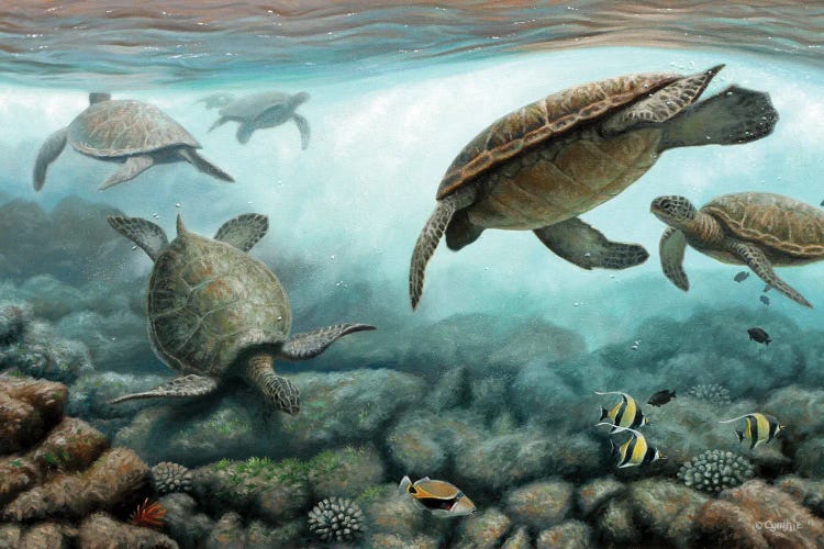 Sea Turtles by Cynthie Fisher wall art