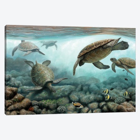 Sea Turtles Canvas Print #CYT171} by Cynthie Fisher Canvas Art