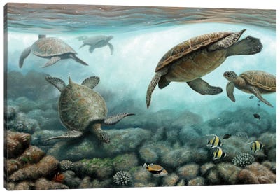 Sea Turtles Canvas Art Print - Turtle Art