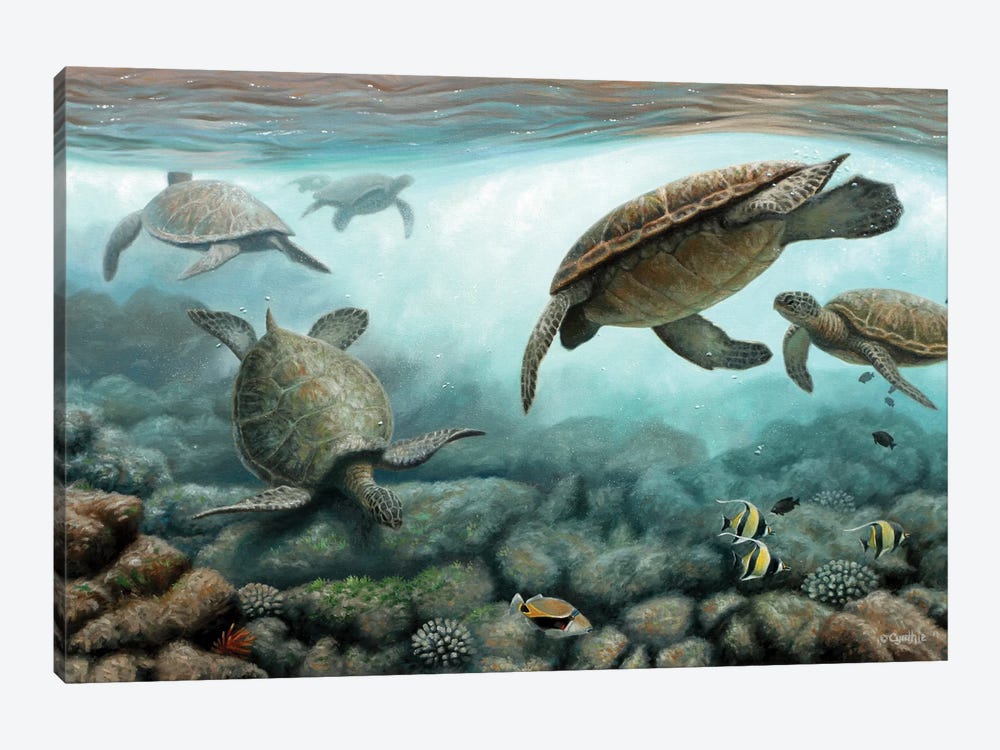 Sea Turtles by Cynthie Fisher 1-piece Canvas Artwork