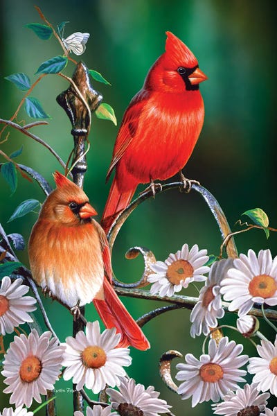 Spring Cardinals II by Cynthie Fisher metal wall art