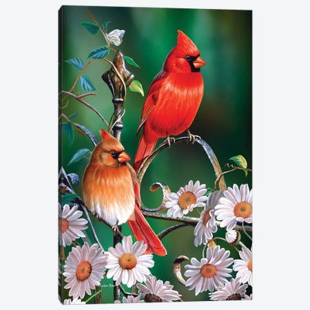 Spring Cardinals II Canvas Print #CYT174} by Cynthie Fisher Canvas Art Print