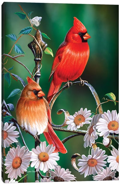 Spring Cardinals II Canvas Art Print - Cardinal Art