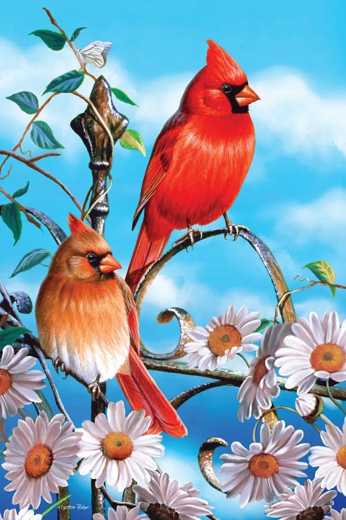 Spring Cardinals III by Cynthie Fisher wall art