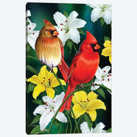 Spring Cardinals Lily Canvas Print #CYT176} by Cynthie Fisher Canvas Print
