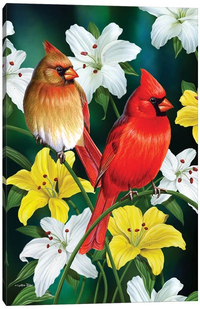 Spring Cardinals Lily Canvas Art Print - Cardinal Art