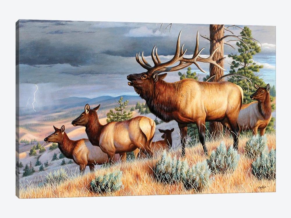 Storm Challenge Elk by Cynthie Fisher 1-piece Canvas Art