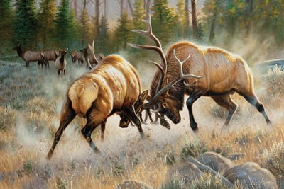 The Battle by Cynthie Fisher canvas print