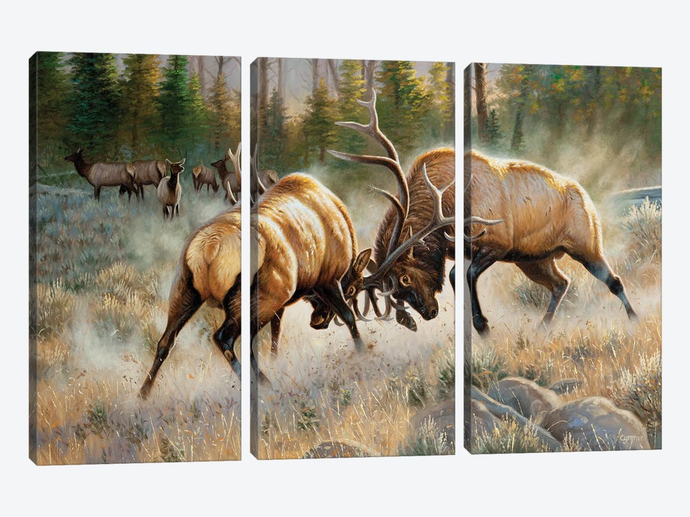 The Battle by Cynthie Fisher 3-piece Canvas Print