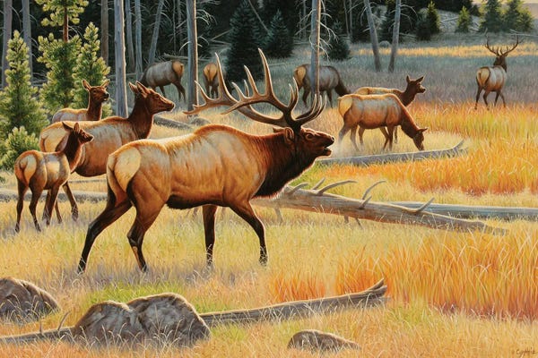 Deer: The Royal Send-Off by Cynthie Fisher