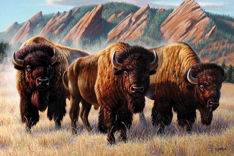 Three Bison Flatirons