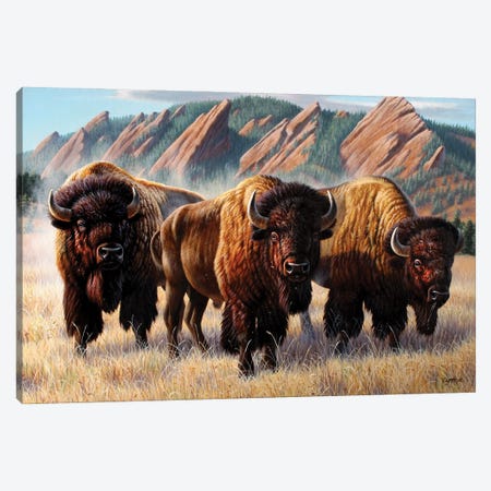 Three Bison Flatirons Canvas Print #CYT186} by Cynthie Fisher Canvas Artwork
