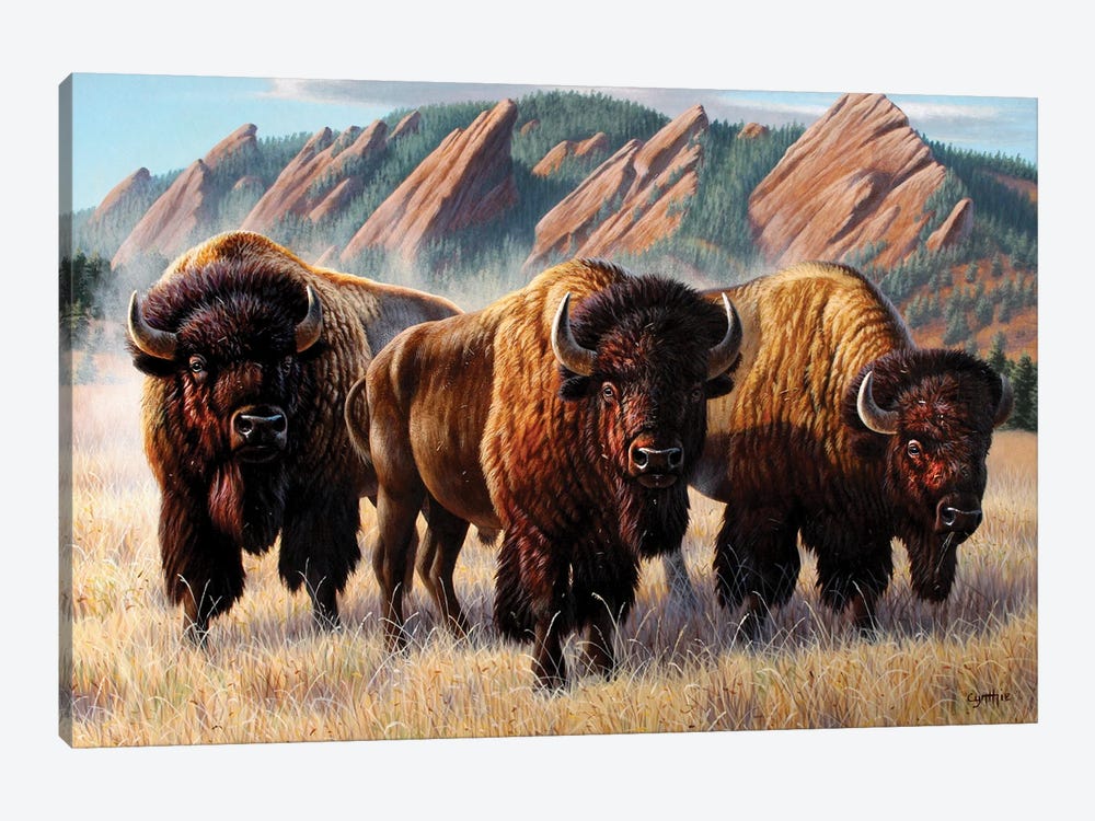 Three Bison Flatirons by Cynthie Fisher 1-piece Canvas Artwork