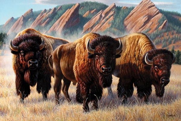 Bison & Buffaloes: Three Bison Flatirons by Cynthie Fisher