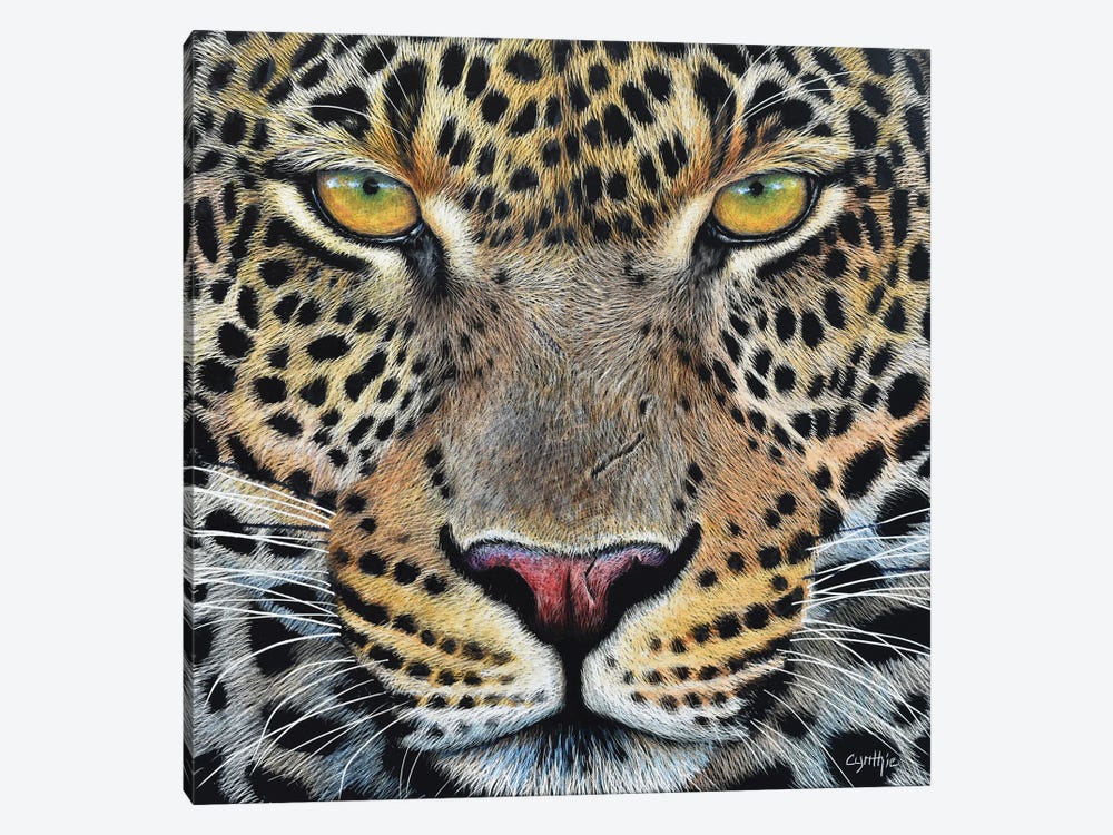 Jaguar Scratch Board by Cynthie Fisher 1-piece Canvas Artwork