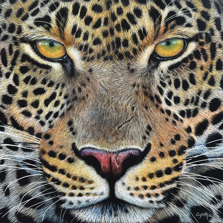 Jaguar Scratch Board