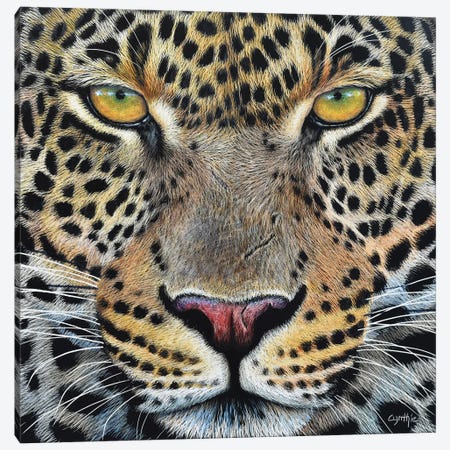 Jaguar Scratch Board Canvas Print #CYT188} by Cynthie Fisher Art Print