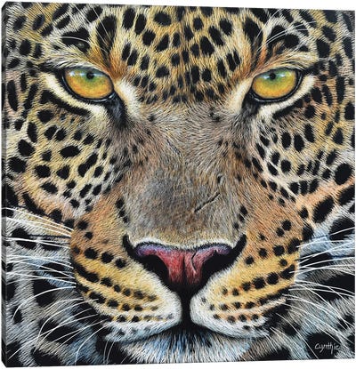 Jaguar Scratch Board Canvas Art Print - Cynthie Fisher