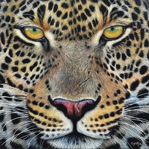 Jaguar Scratch Board