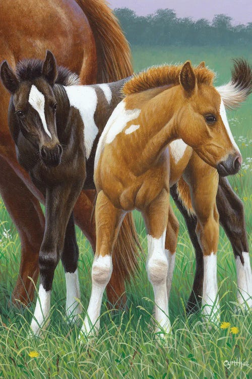 Two Foals by Cynthie Fisher wall art