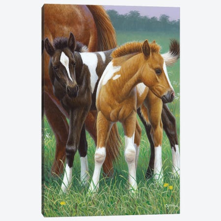 Two Foals Canvas Print #CYT191} by Cynthie Fisher Canvas Art