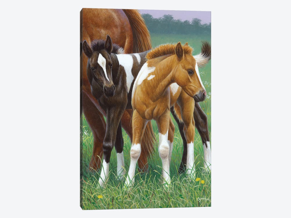 Two Foals by Cynthie Fisher 1-piece Canvas Art