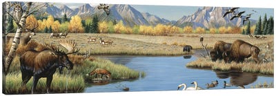 Valley Scene Canvas Art Print - Deer Art