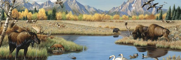 Deer: Valley Scene by Cynthie Fisher