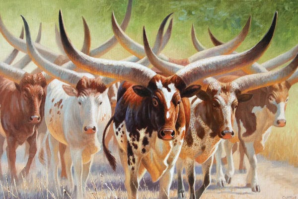 Western Décor: Watusis by Cynthie Fisher