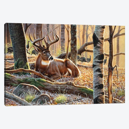 Whitetail And Turkeys Canvas Print #CYT198} by Cynthie Fisher Canvas Art