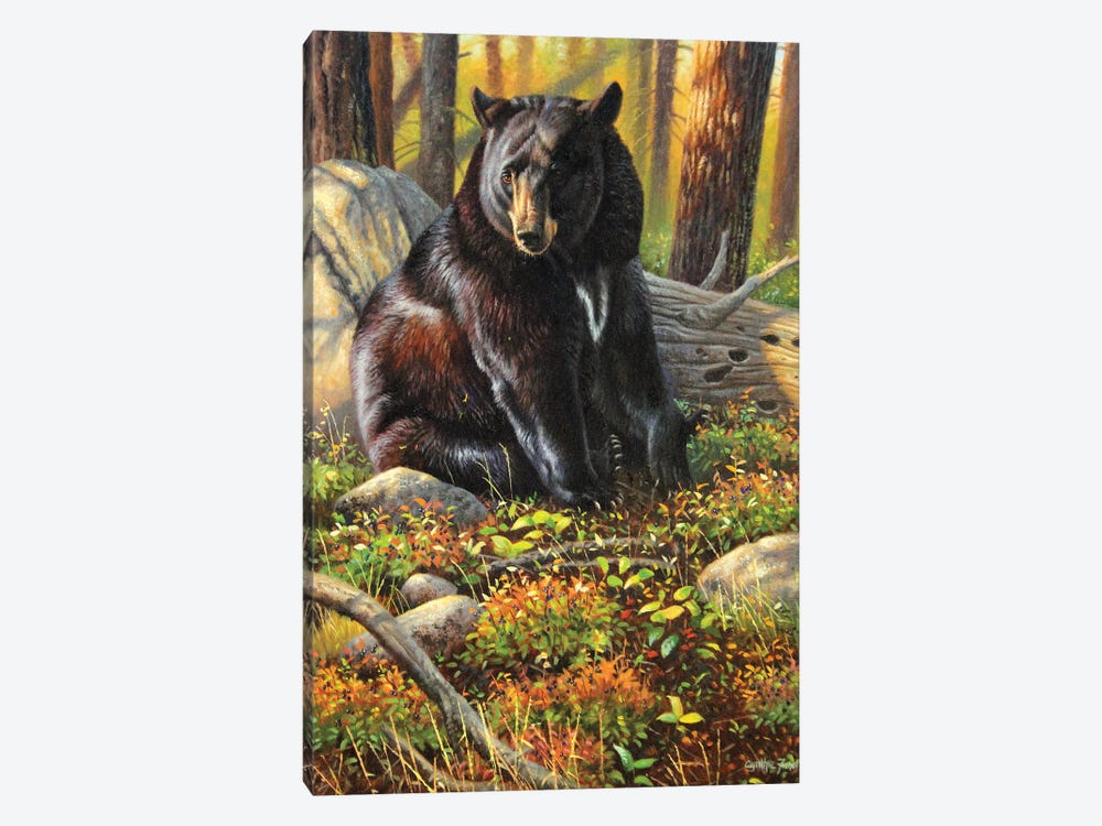 Black Bear by Cynthie Fisher 1-piece Canvas Art
