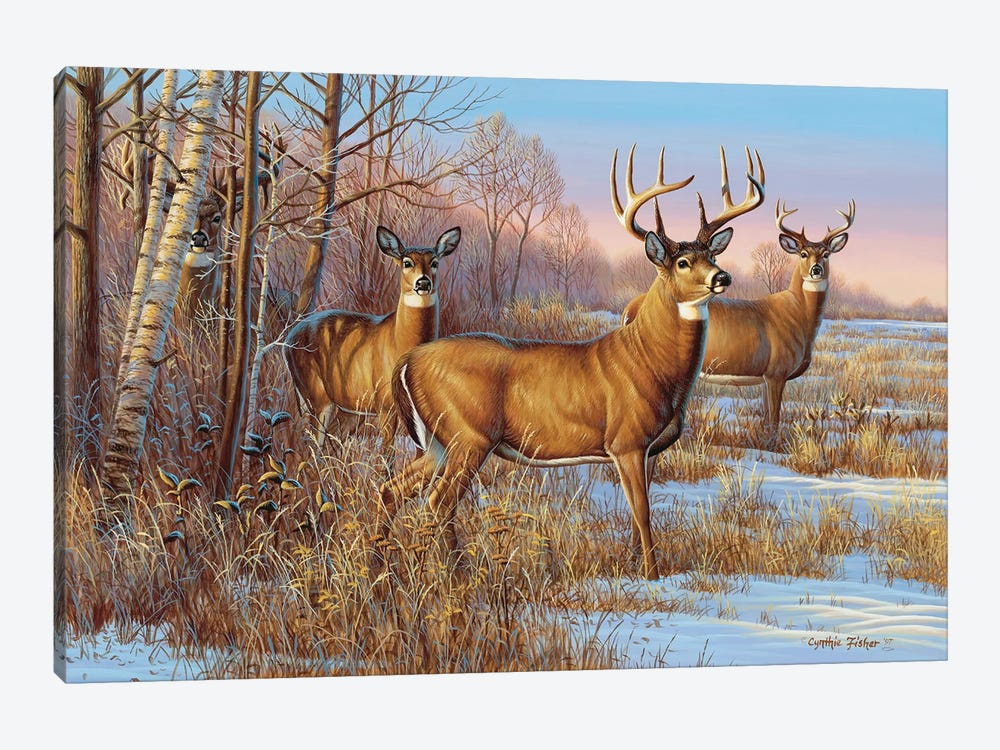 Whitetail Cautious by Cynthie Fisher 1-piece Art Print