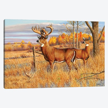 Whitetail Deer Buck Canvas Print #CYT202} by Cynthie Fisher Canvas Wall Art