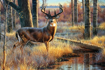 Whitetail Mossyhorns by Cynthie Fisher multi panel art