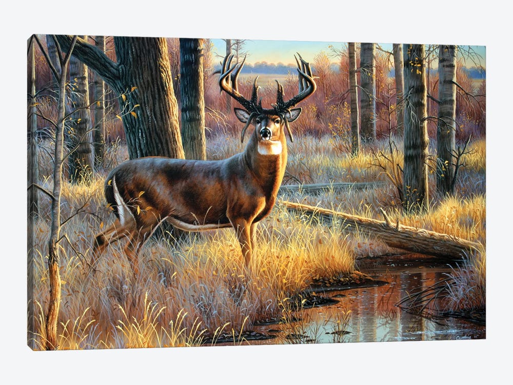Whitetail Mossyhorns by Cynthie Fisher 1-piece Canvas Art