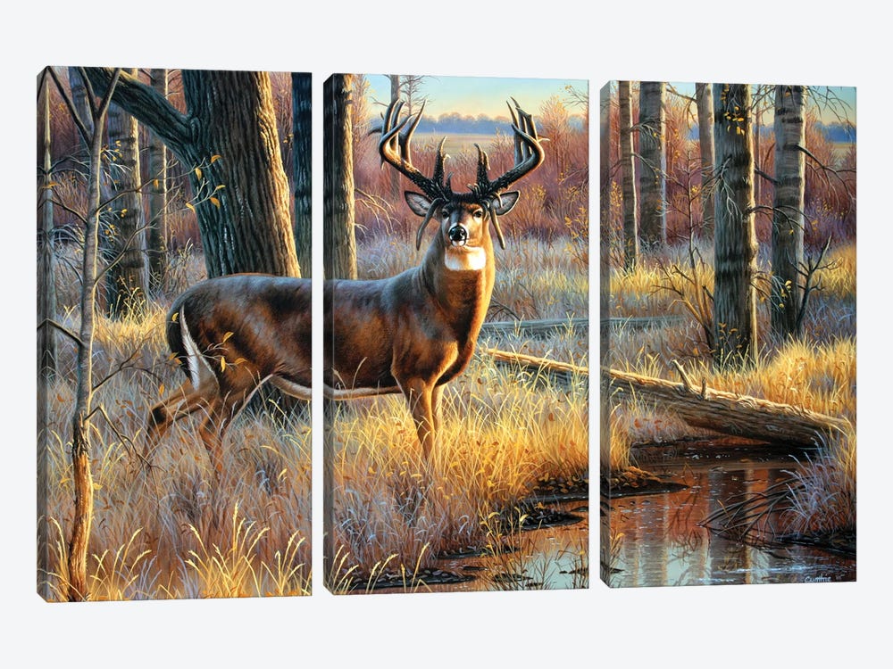 Whitetail Mossyhorns by Cynthie Fisher 3-piece Canvas Wall Art