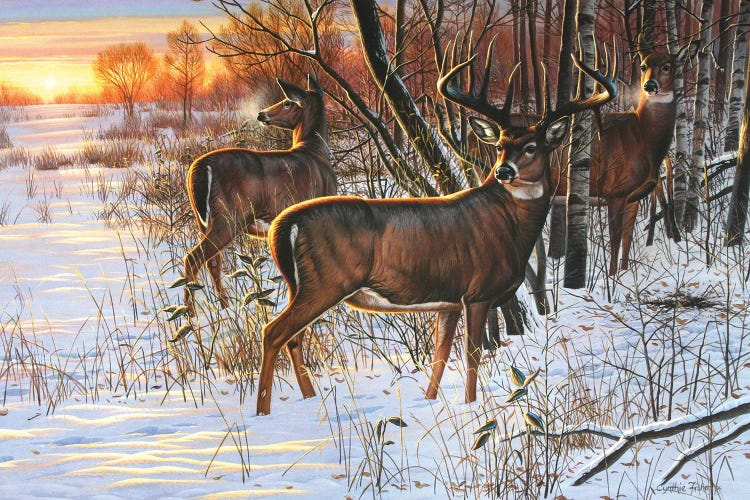 Whitetail Sunrise Retreat by Cynthie Fisher wall art