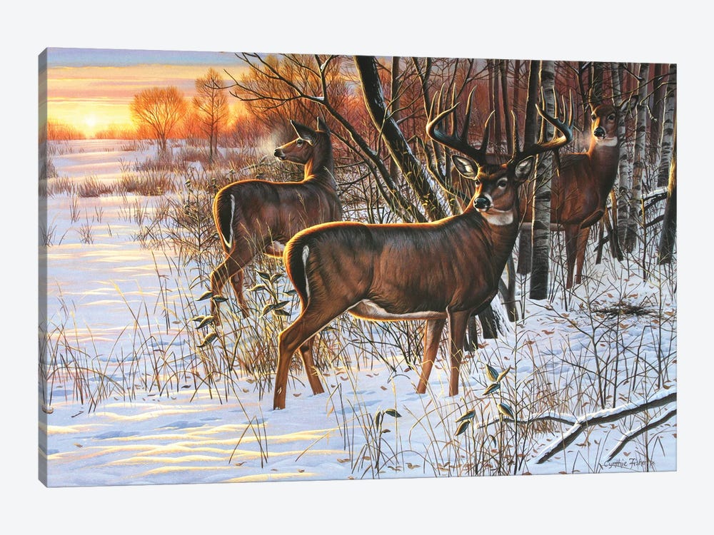 Whitetail Sunrise Retreat by Cynthie Fisher 1-piece Canvas Wall Art