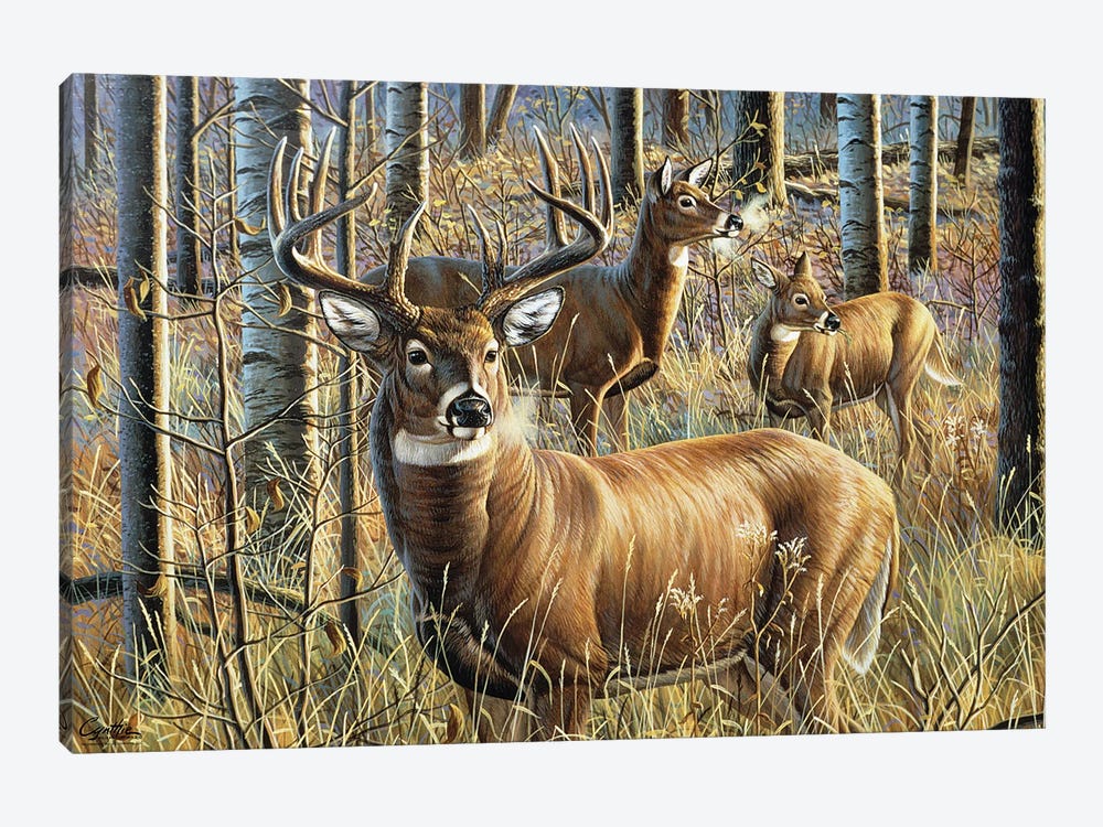 Whitetail Woodland Guardian by Cynthie Fisher 1-piece Canvas Art Print