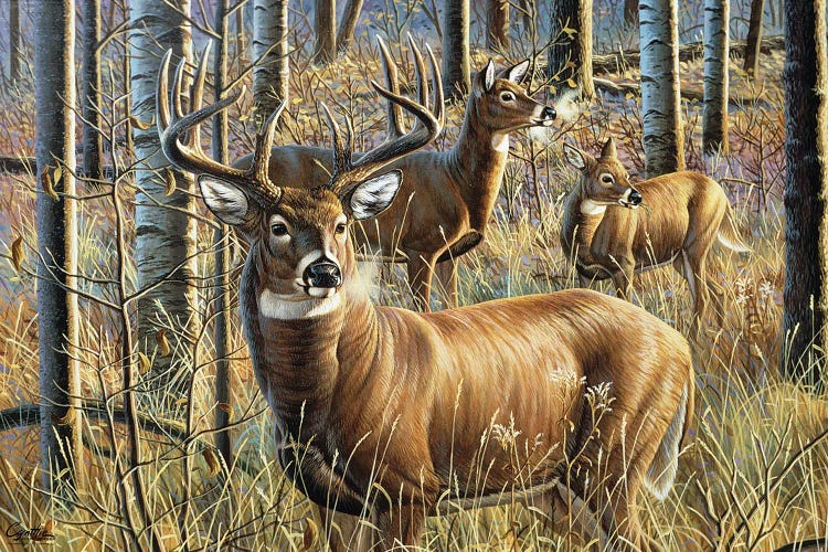Whitetail Woodland Guardian by Cynthie Fisher wall art