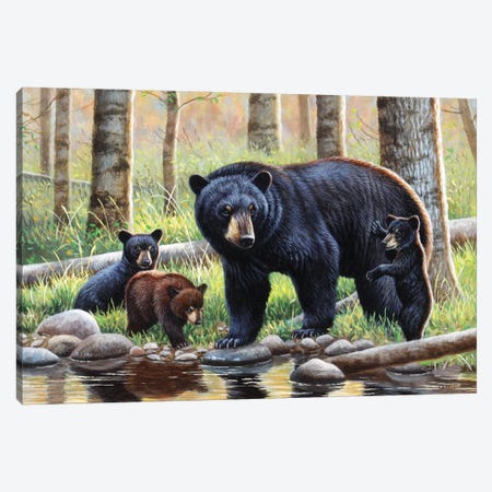 Black Bear With Cubs Canvas Print #CYT20} by Cynthie Fisher Canvas Wall Art