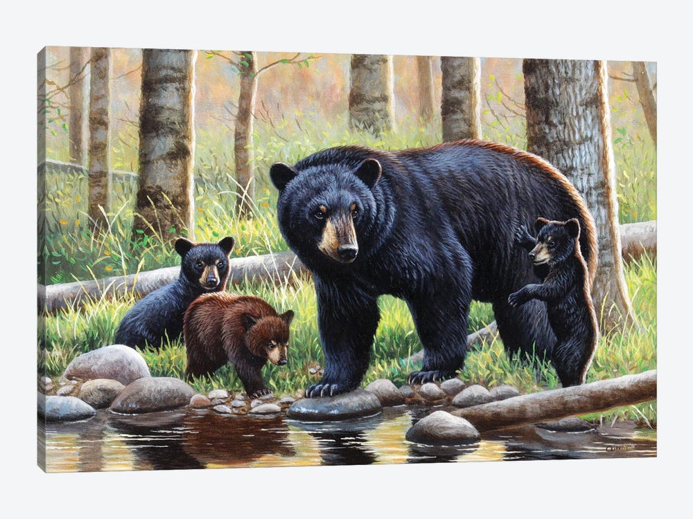Black Bear With Cubs by Cynthie Fisher 1-piece Canvas Artwork