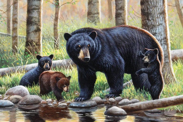 Bears: Black Bear With Cubs by Cynthie Fisher