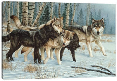 Wolf Pack I Canvas Art Print - Wolf Art