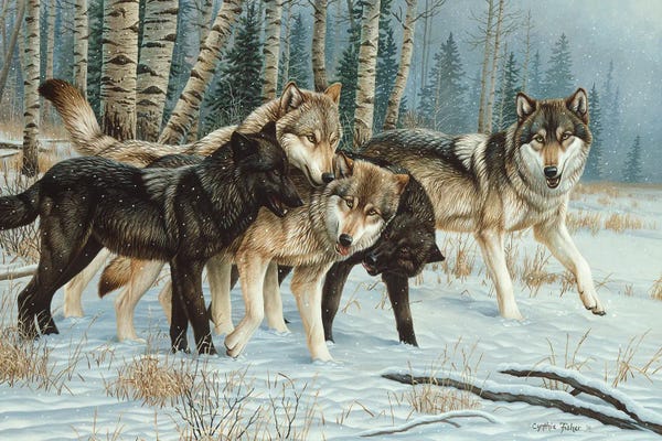 Wolves: Wolf Pack I by Cynthie Fisher